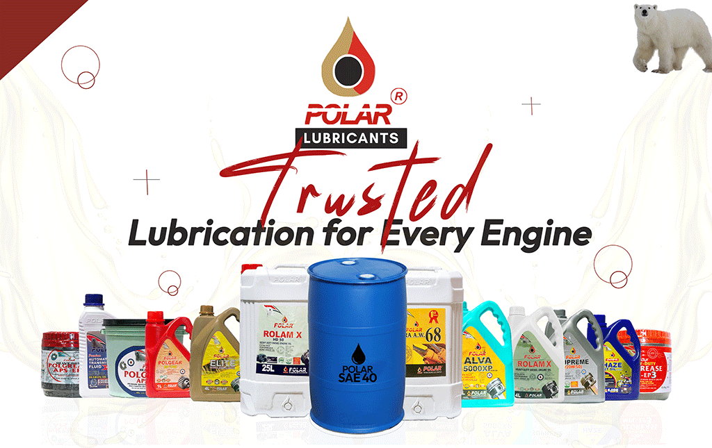 Polar Banner